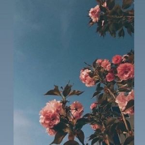 Meet your Posher, Autumn